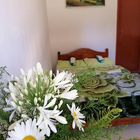 The Galways Edge Homestay نوفارا إيلِيا المظهر الخارجي الصورة
